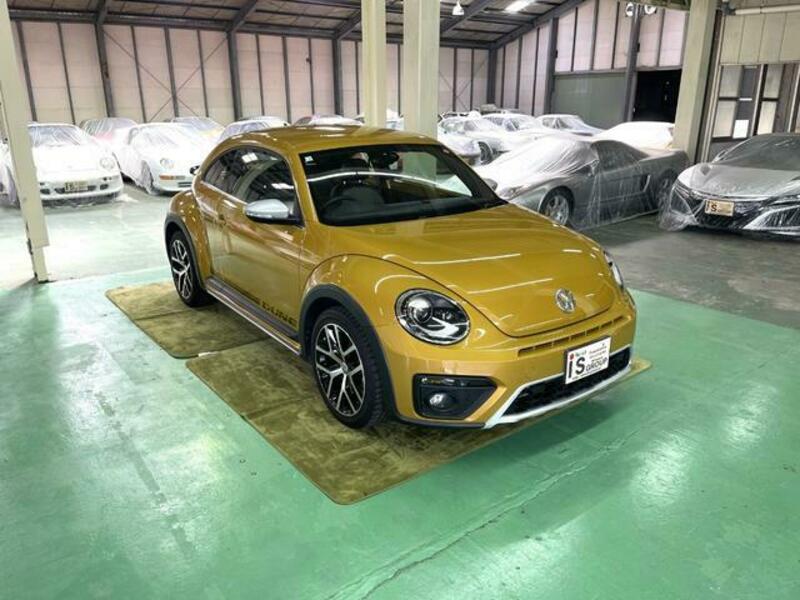 THE BEETLE