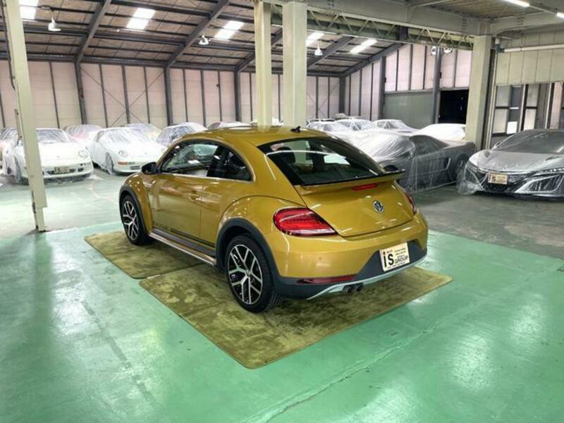 THE BEETLE