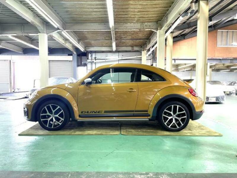 THE BEETLE