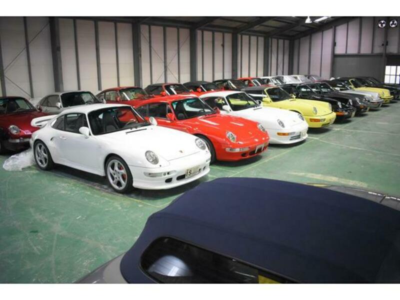 THE BEETLE