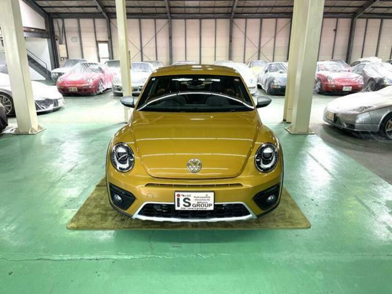 THE BEETLE