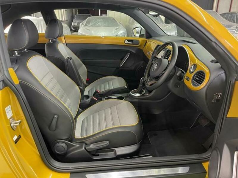 THE BEETLE