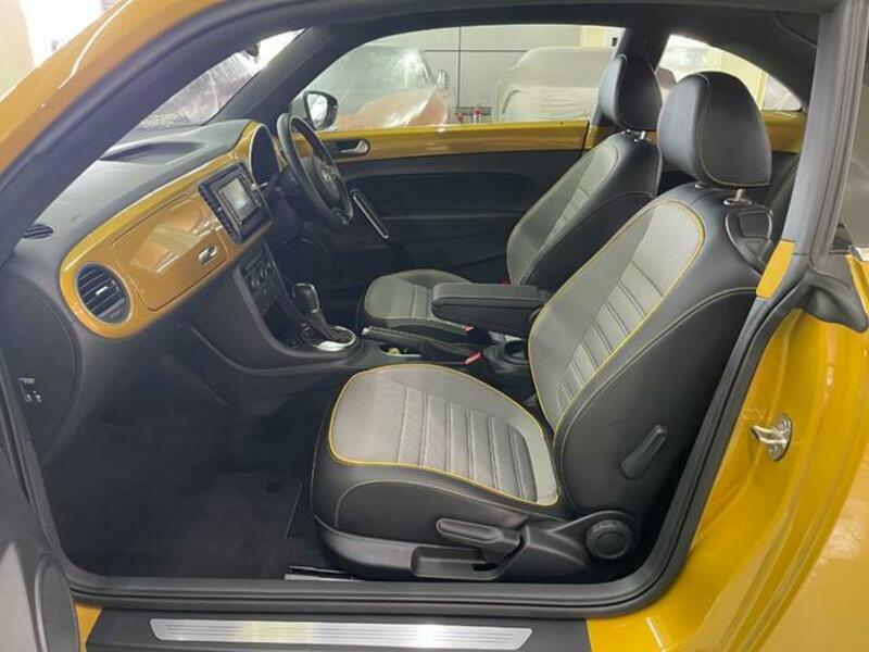 THE BEETLE