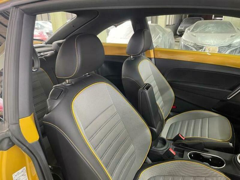 THE BEETLE