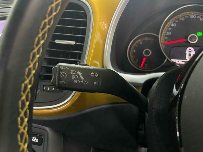 THE BEETLE