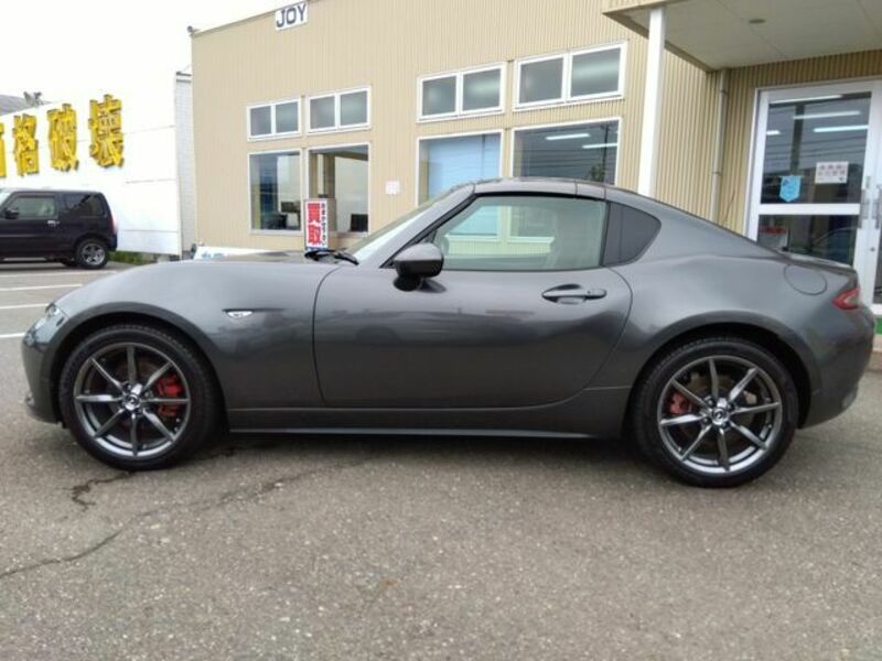 ROADSTER RF