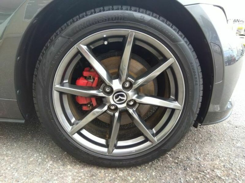ROADSTER RF