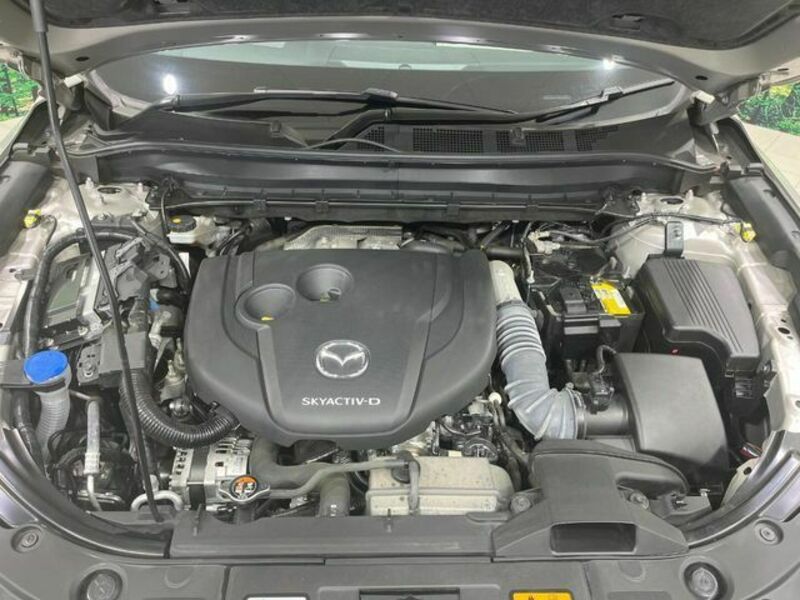 CX-8