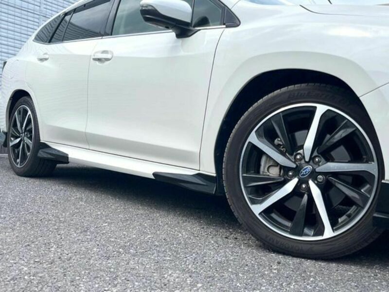 LEVORG