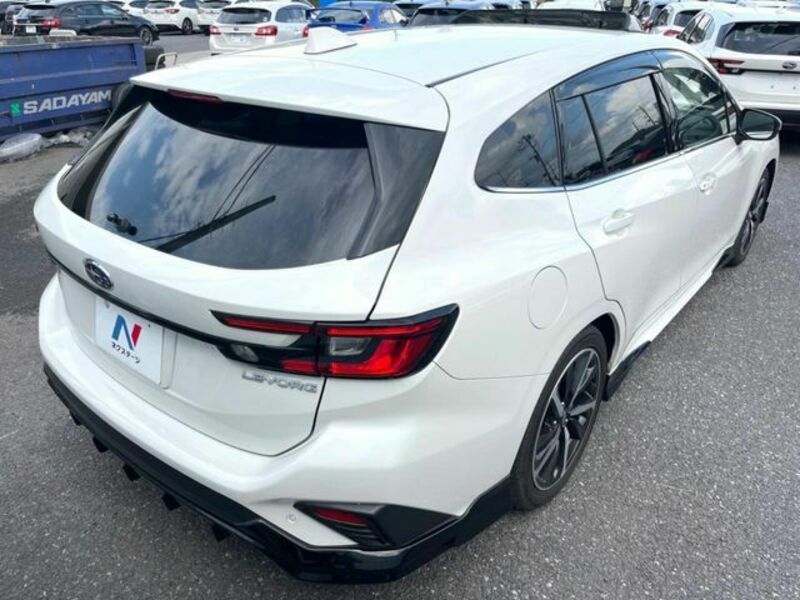 LEVORG