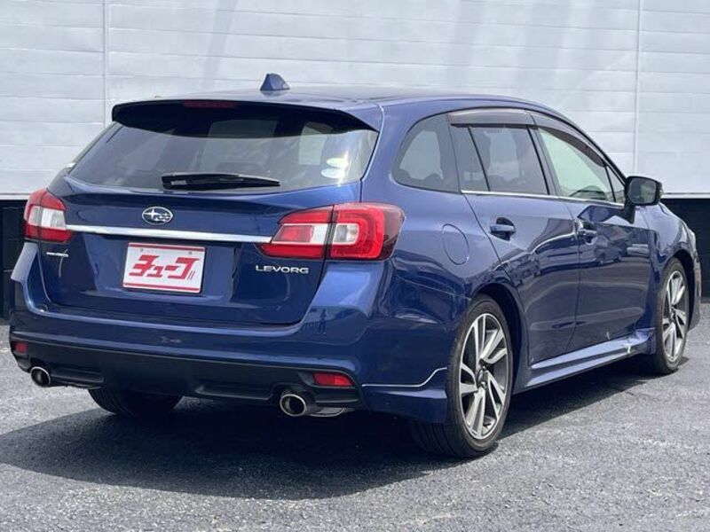 LEVORG