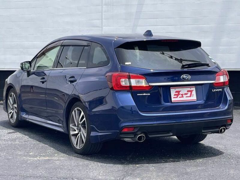 LEVORG
