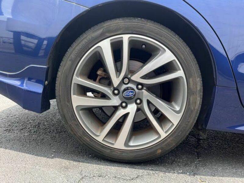 LEVORG