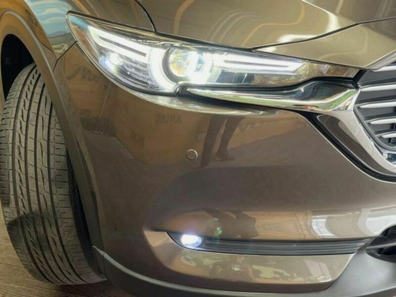 CX-8