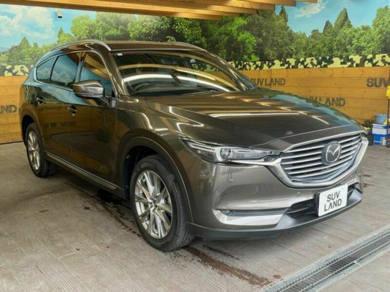 CX-8