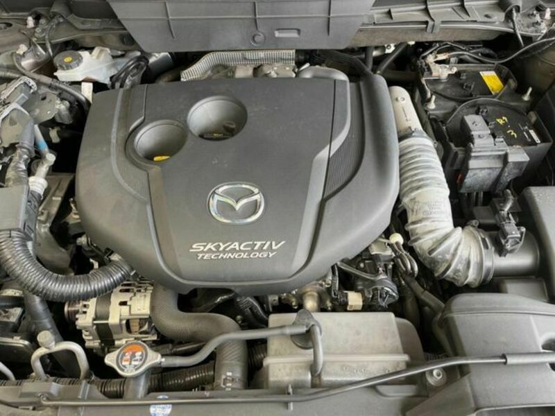 CX-8
