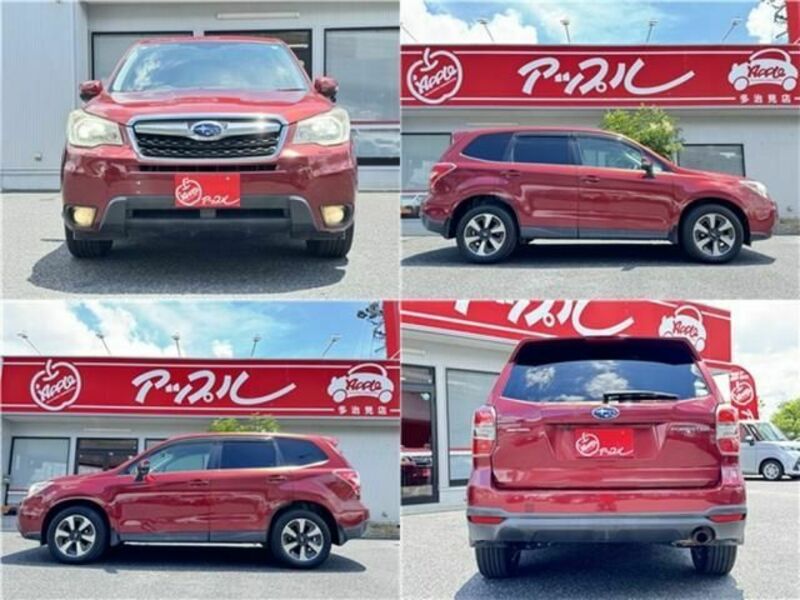 FORESTER