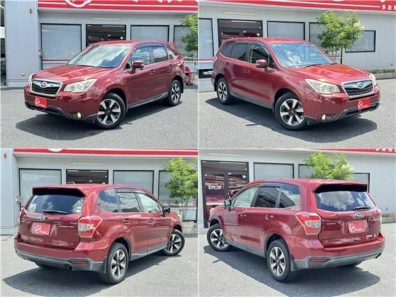 FORESTER