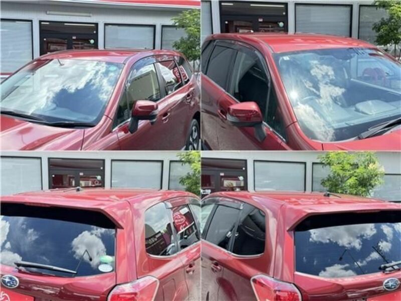 FORESTER