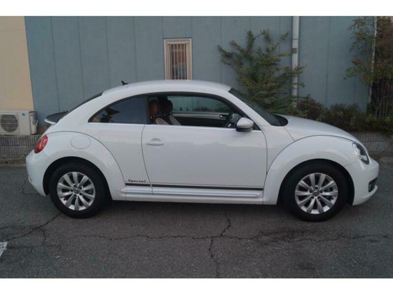 THE BEETLE