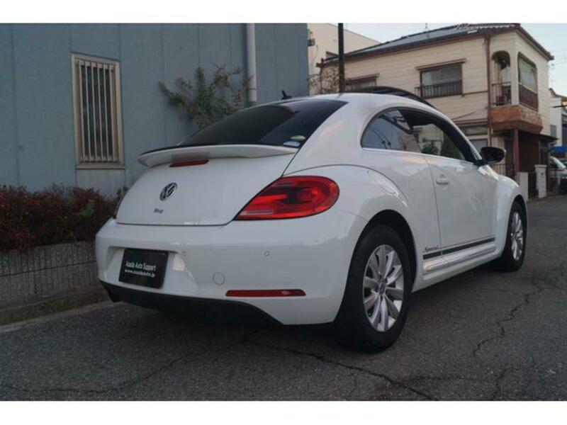 THE BEETLE