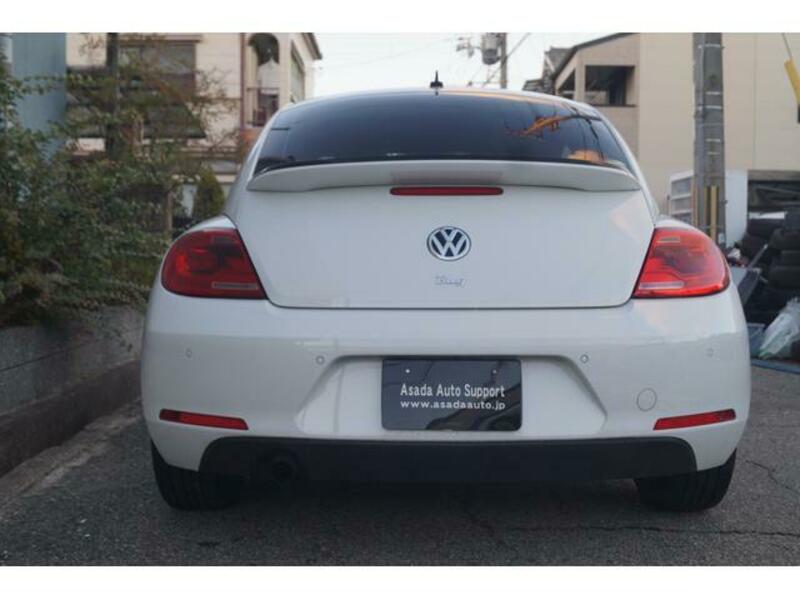 THE BEETLE