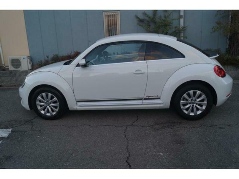 THE BEETLE