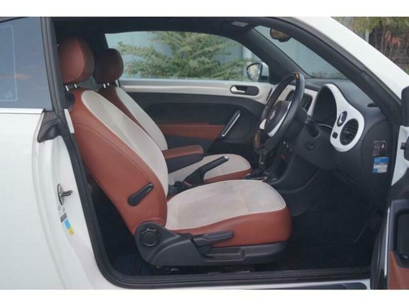 THE BEETLE