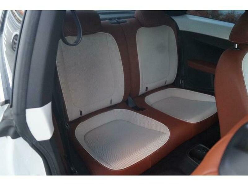THE BEETLE