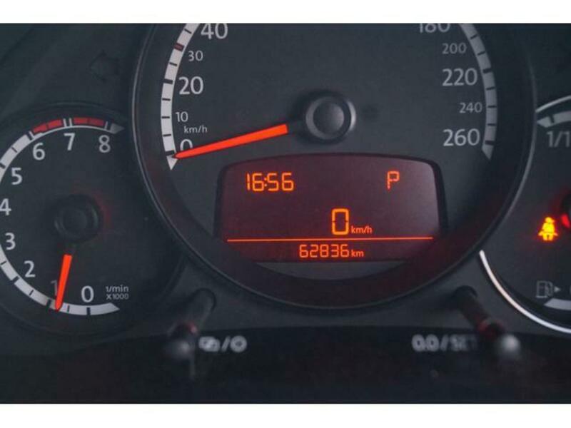 THE BEETLE