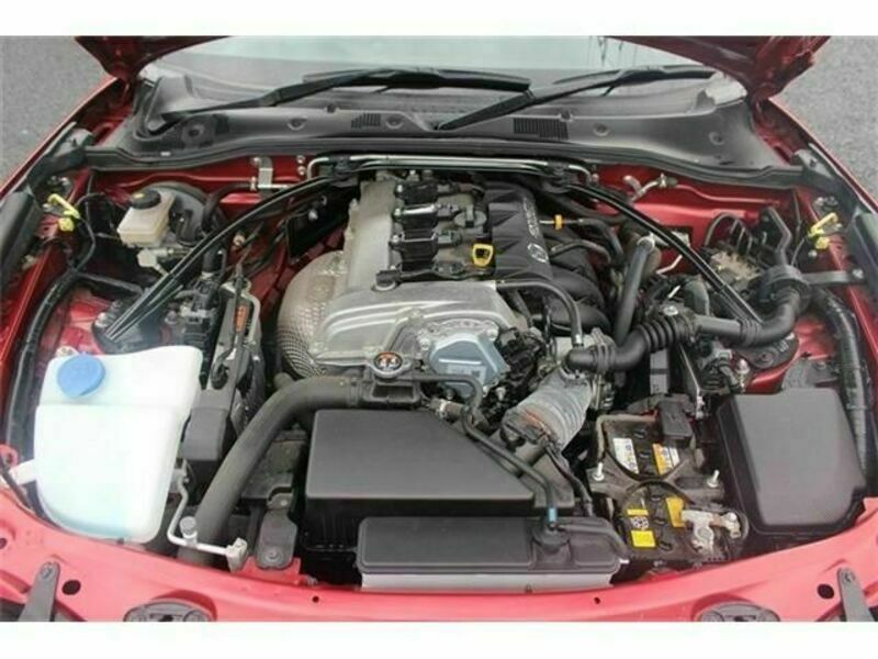 ROADSTER RF