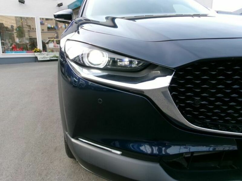 CX-30
