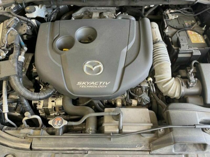 CX-8