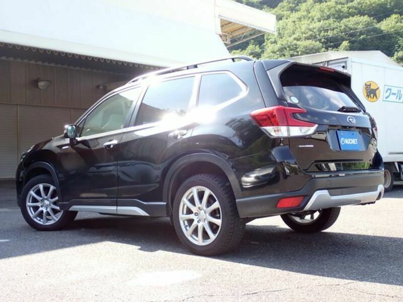 FORESTER
