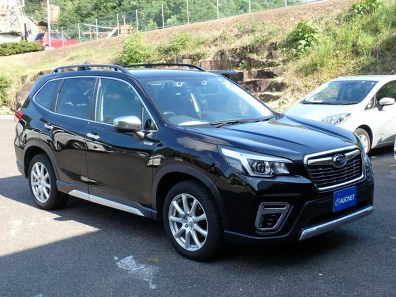 FORESTER