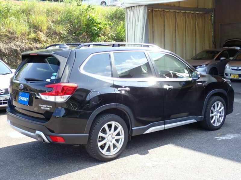 FORESTER