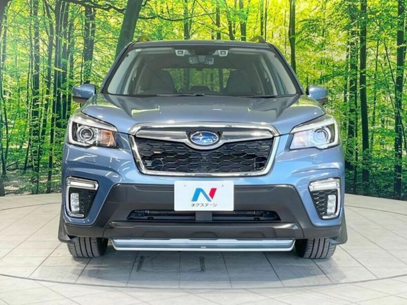 FORESTER