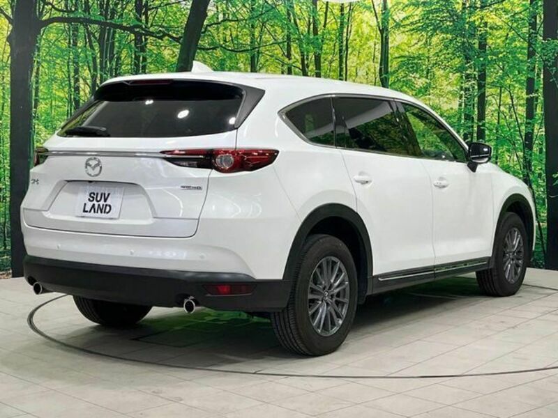 CX-8