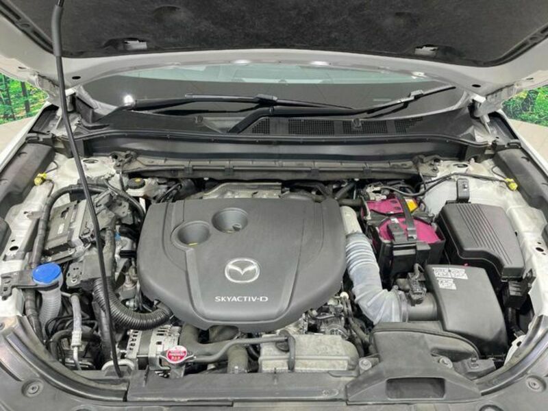 CX-8