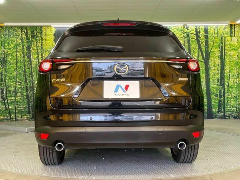 CX-8