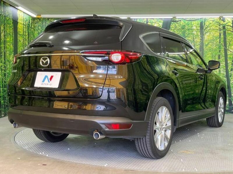 CX-8