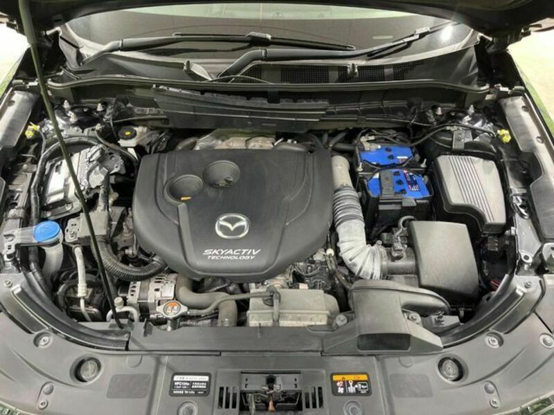 CX-8