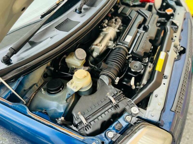 MINICA