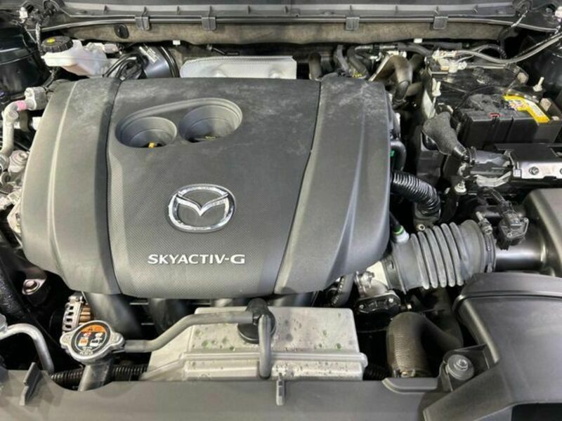 CX-8