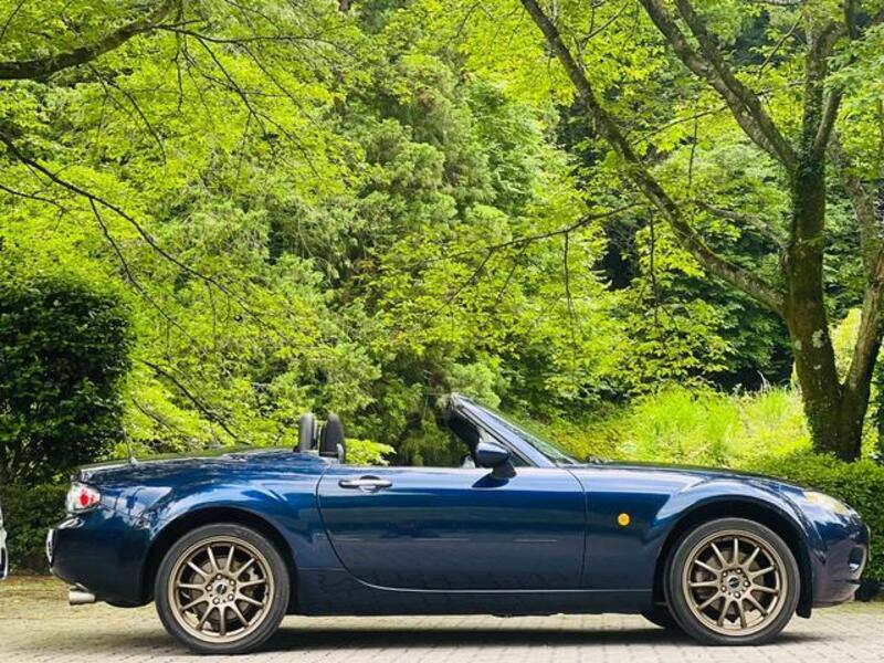 ROADSTER
