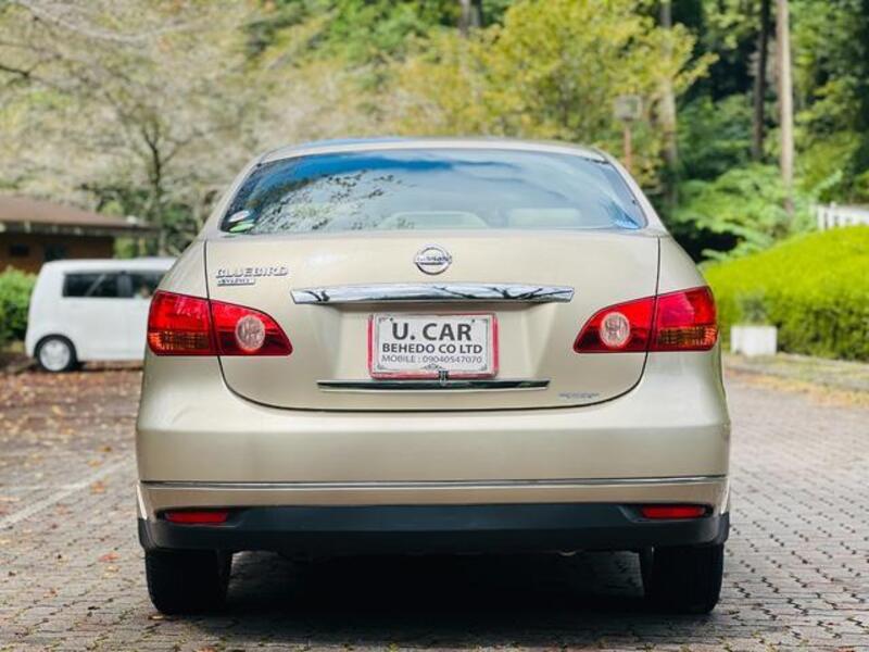 BLUEBIRD SYLPHY