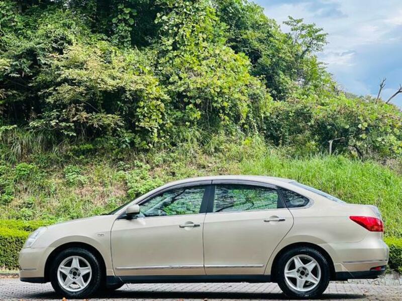 BLUEBIRD SYLPHY