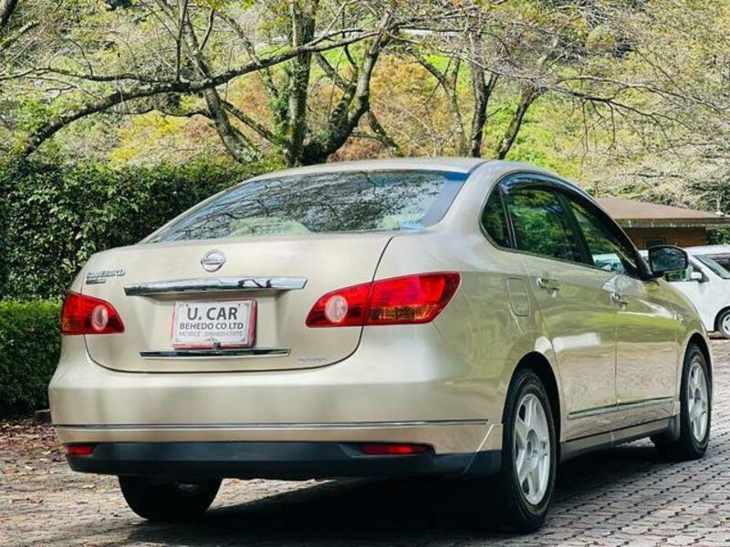 BLUEBIRD SYLPHY