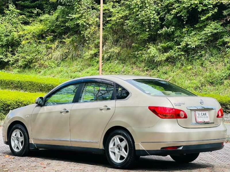 BLUEBIRD SYLPHY