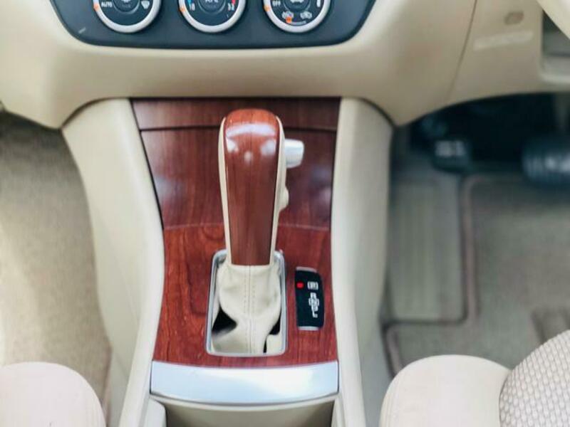 BLUEBIRD SYLPHY
